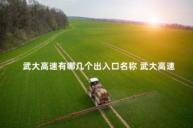 武大高速有哪几个出入口名称 武大高速开通日期